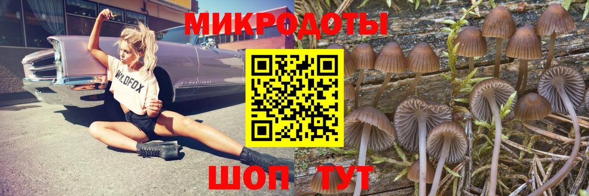Галлюциногенные грибы Psilocybe Усть-Лабинск